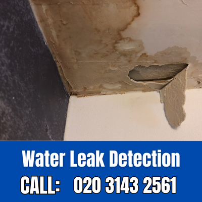 Expert Water Leak Detection Services in Stepney | Stepney Leak Detection